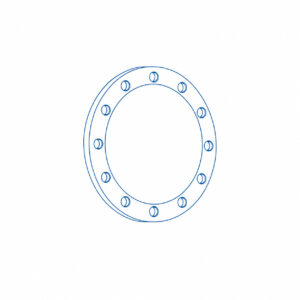 Circular flange with inner bore and 12 bolt holes around the outer rim.
